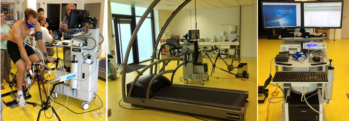 A physiological approach of physical exercise
